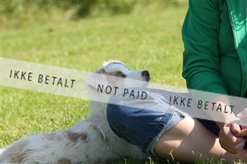 130370_se_03_IMG_6847.JPG
