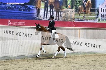 182241_kbb_01_Z093149.JPG