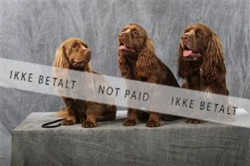 129608_le_ 01_0755.JPG