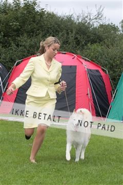 130370_tl_01_IMG_7172.JPG