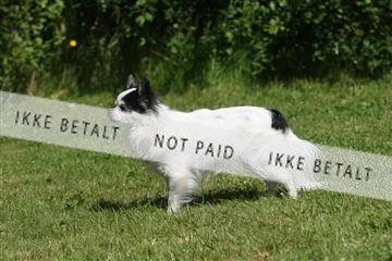 130370_se_03_IMG_7105.JPG