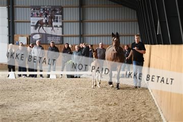 174362_kbb_01_R6II7774.JPG