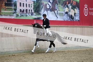 181887_mtp_05_R62_9851.JPG