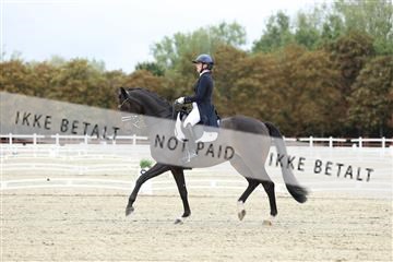 181923_mtp_04_R62_8602.JPG