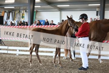 181756_mtp_03_R62_2657.JPG