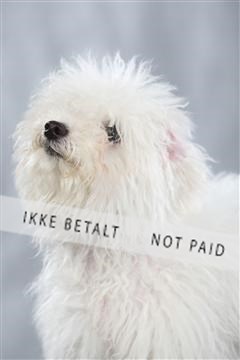 128239_le_kort_ 01_0350.JPG