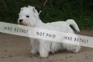 130370_se_01_IMG_5273.JPG