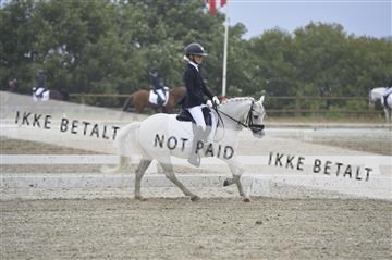 169624_kbb_01__KBB8029.JPG