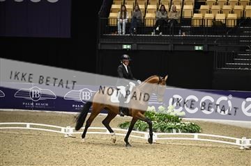 182194_kbb_01_Z097220.JPG