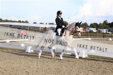 181894_mtp_05_R62_5844.JPG