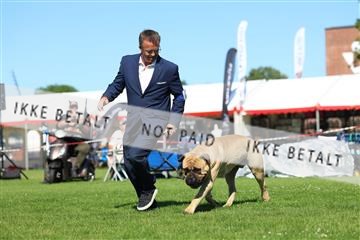 181564_rin_03_R62_9832.JPG