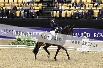 182194_kbb_03_Z091216.JPG