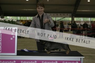 5430_mh_03_IMG_4694.JPG