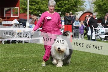 134871_ms_04_IMG_0604.JPG