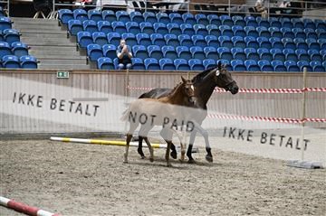 181754_kbb_01_Z093526.JPG