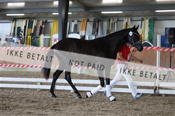 181756_mtp_01_R62_1469.JPG