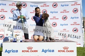 181564_ch_01__62_9658.JPG