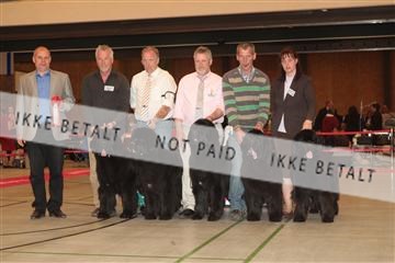 124188 _tl_02_IMG_9589.JPG