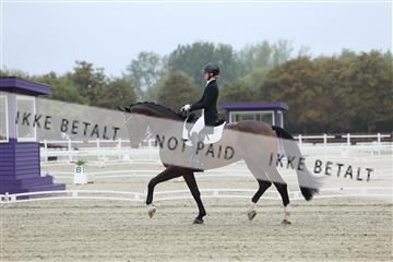 181923_mtp_03_R62_7623.JPG