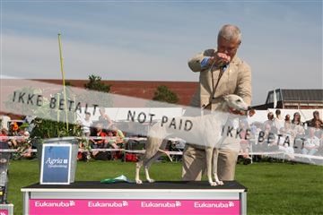 130370_se_02_IMG_6353.JPG