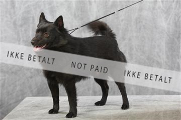 129608_le_ 01_0677.JPG