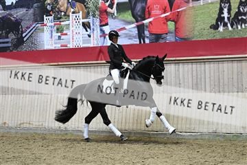 182241_kbb_01_Z094771.JPG