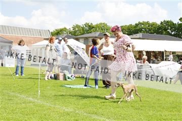 181564_kar_01__62_6856.JPG