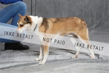 130054_le_ 03_0247.JPG