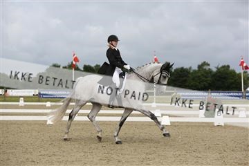 156196_nn_01_IMG_5480.JPG