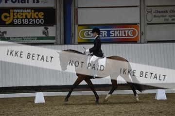 140040_abo_02__AB18915.JPG