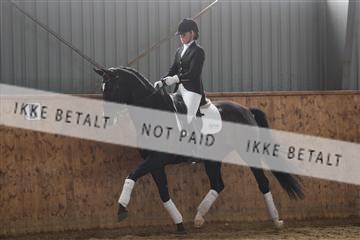 139206_kl_1_8M1Q5300.JPG