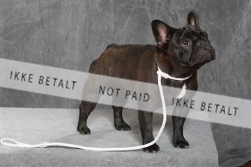 130054_le_ 01_0213.JPG