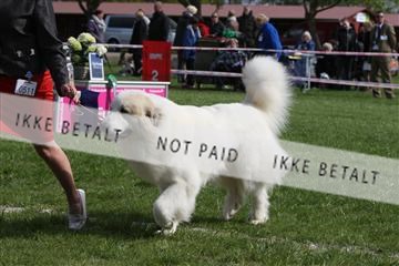 134871_ms_04_IMG_1146.JPG