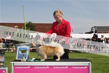 130370_se_02_IMG_6248.JPG