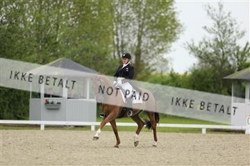 139835_sg_01_IMG_8051.JPG