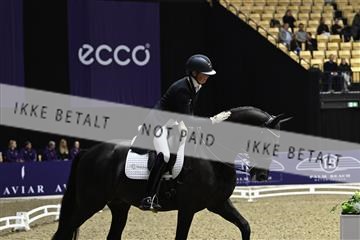 182194_kbb_03_Z092622.JPG
