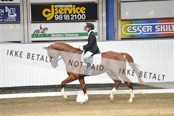 140040_abo_02__AB18386.JPG
