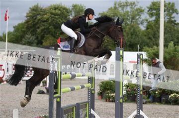 152762_nn _05_IMG_7547.JPG