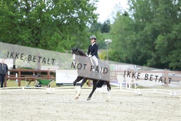 181923_mtp_01_R62_6757.JPG