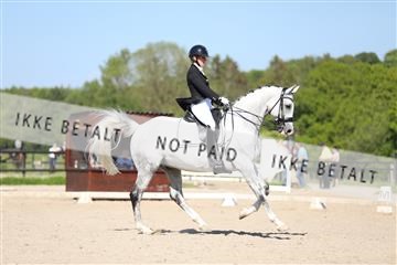 168732_mtp_01_3M5A8262.JPG