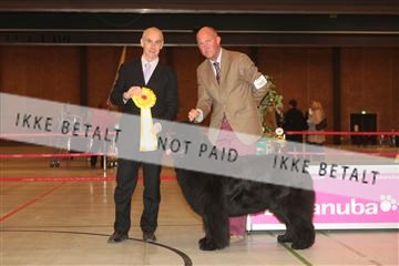 124188 _tl_02_IMG_9746.JPG