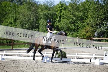 181449_kbb_01_6II9203.JPG