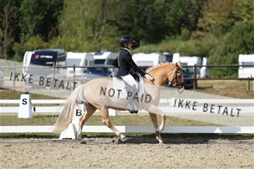 181894_mtp_05_R62_4779.JPG