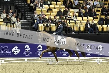 182194_kbb_03_Z090777.JPG