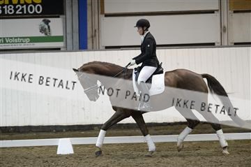 141472_abo_01__AB15579.JPG