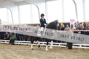 174363_kbb_01_R6II7947.JPG
