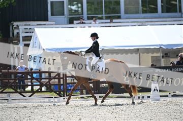 177248_mtp_04_Z09_4440.JPG