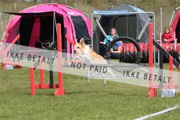 124188 _tl_02_IMG_9467.JPG