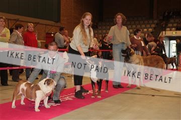 124188 _tl_02_IMG_9548.JPG