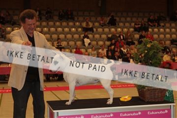 124188 _tl_02_IMG_9645.JPG